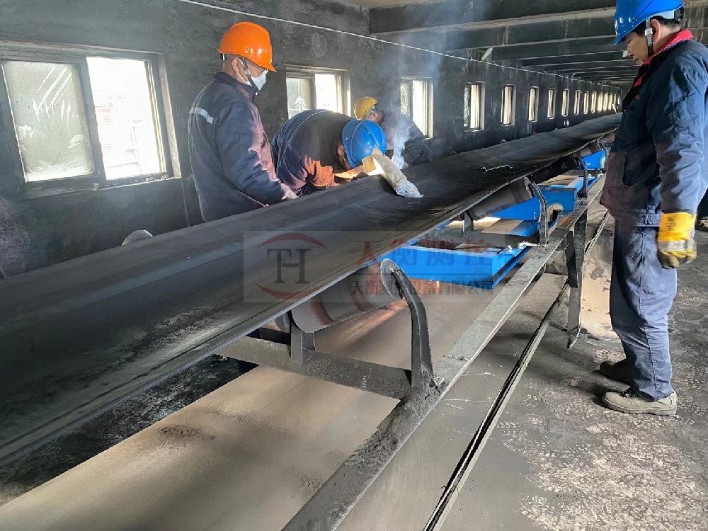 青島熱電廠皮帶秤項目