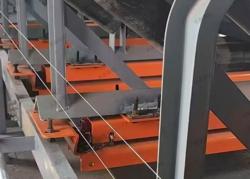 TH-ZL/0/2級高精度陣列式皮帶秤