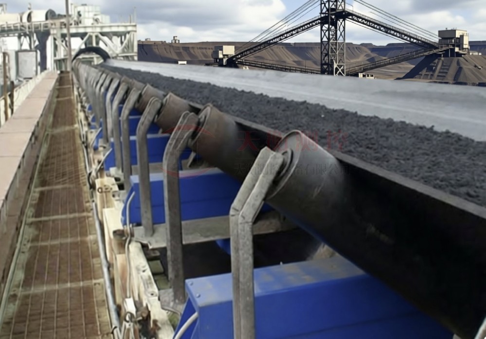 TH-ICS-ZL/6高精度皮帶秤